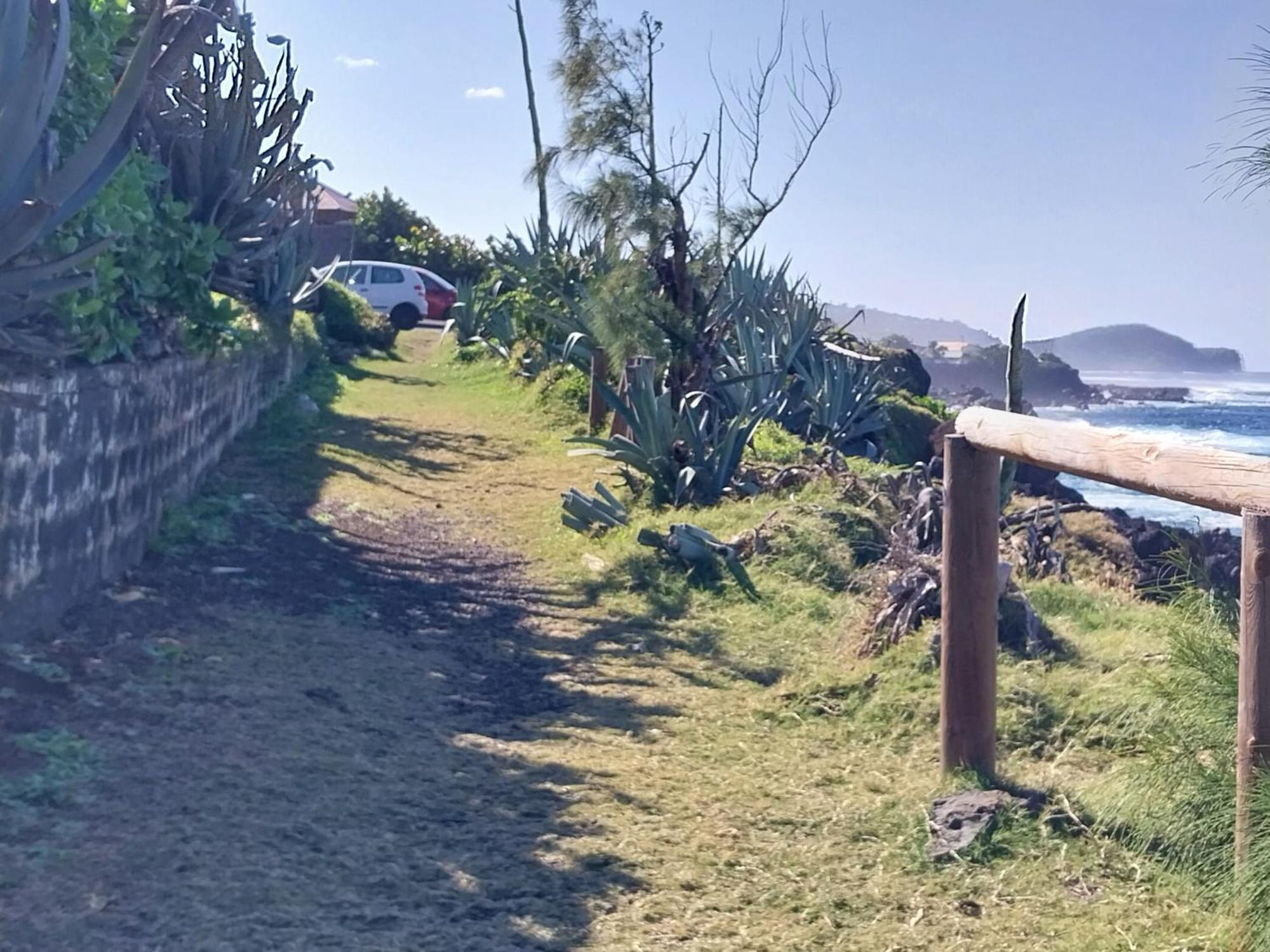 Villa Les Badamiers Saint Pierre Exterior foto
